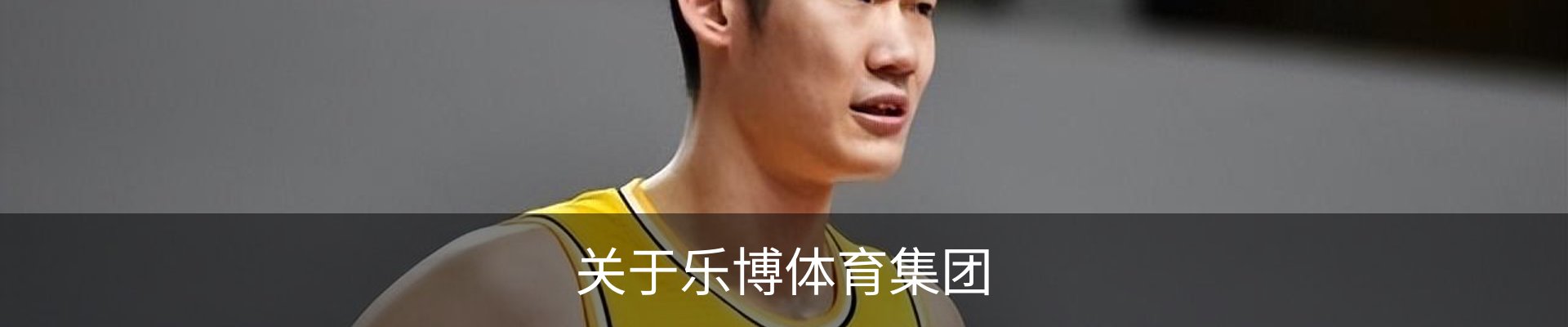 关于乐博体育集团